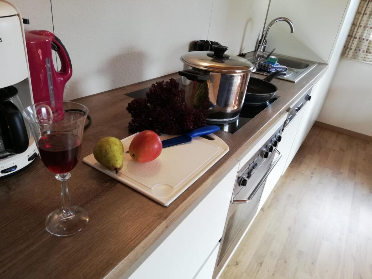 Apartament Aignerbauer Mittersill Zewnętrze zdjęcie